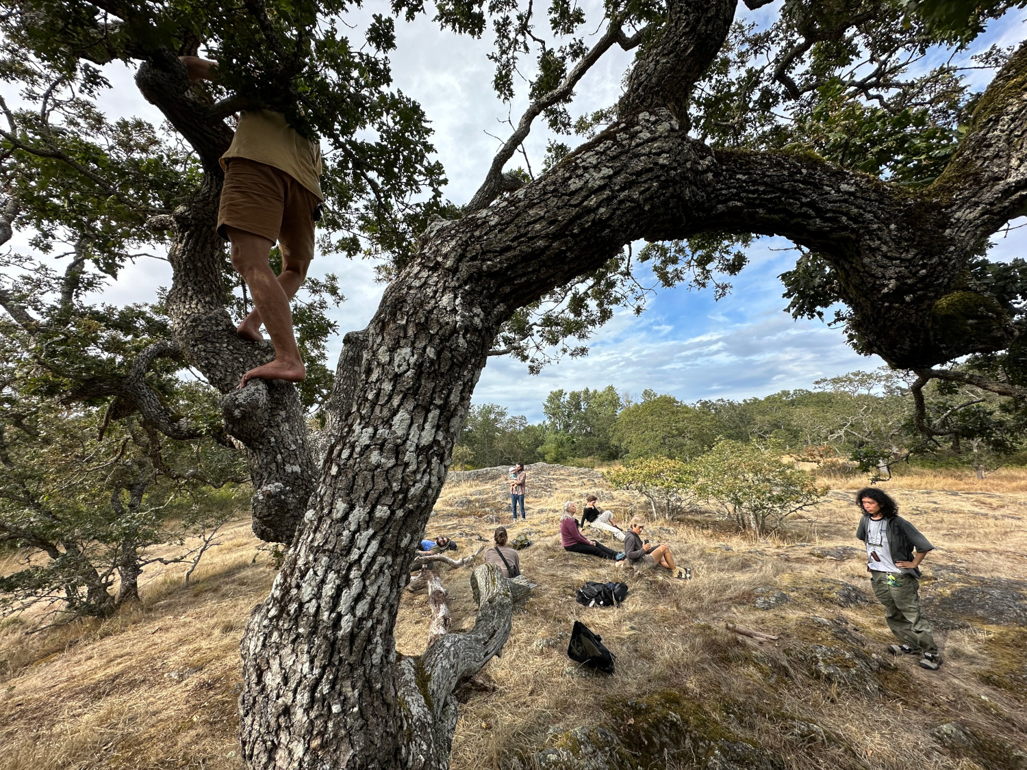 A photograph of folks at the pattern foraging workshop in a beautiful Garry Oak meadow
