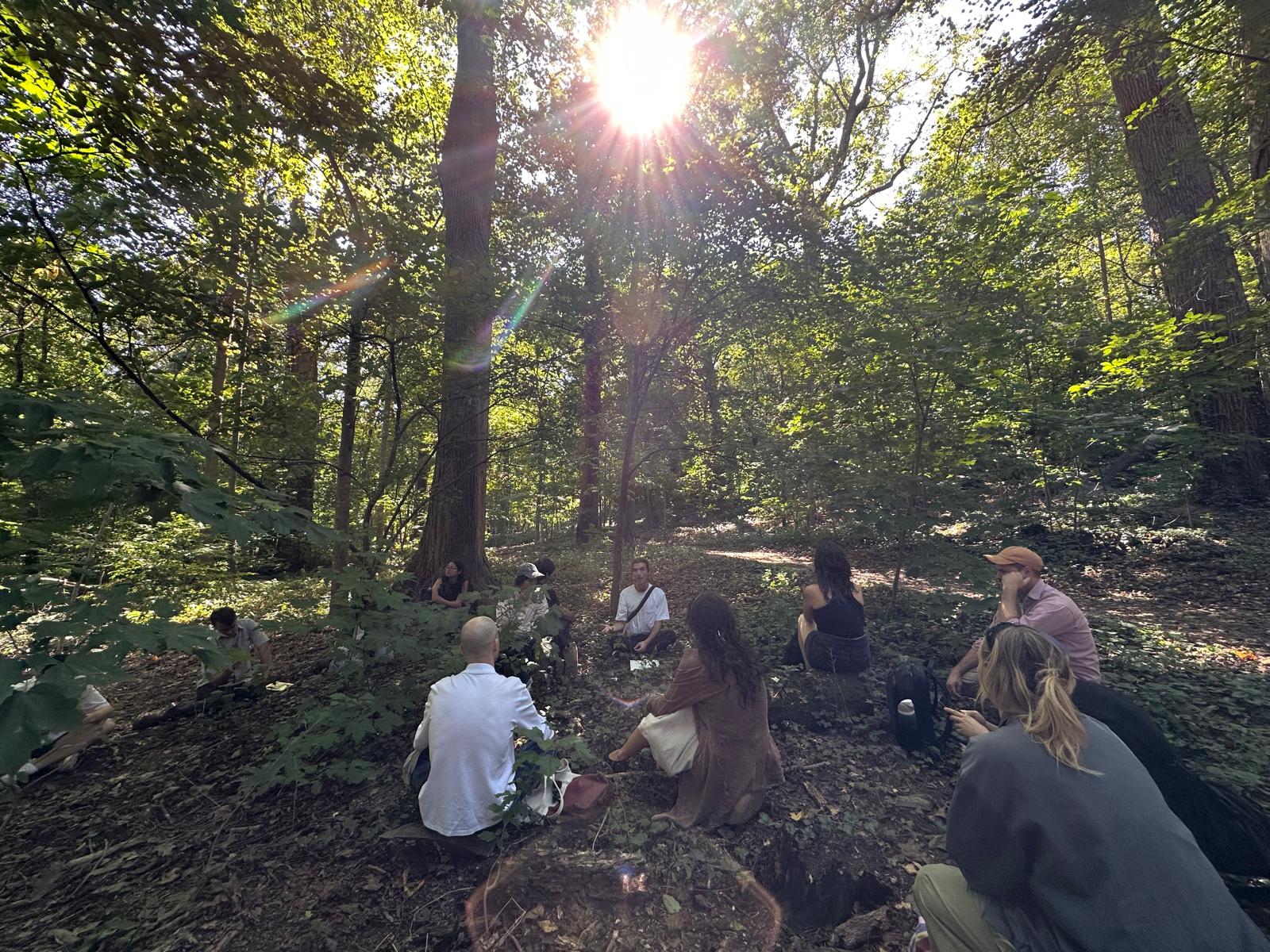 A photograph of the gathering in Brooklyn's last old growth forest, in Prospect Park